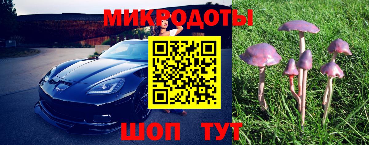 Галлюциногенные грибы мухоморы  Вход с VPN  Брянск 