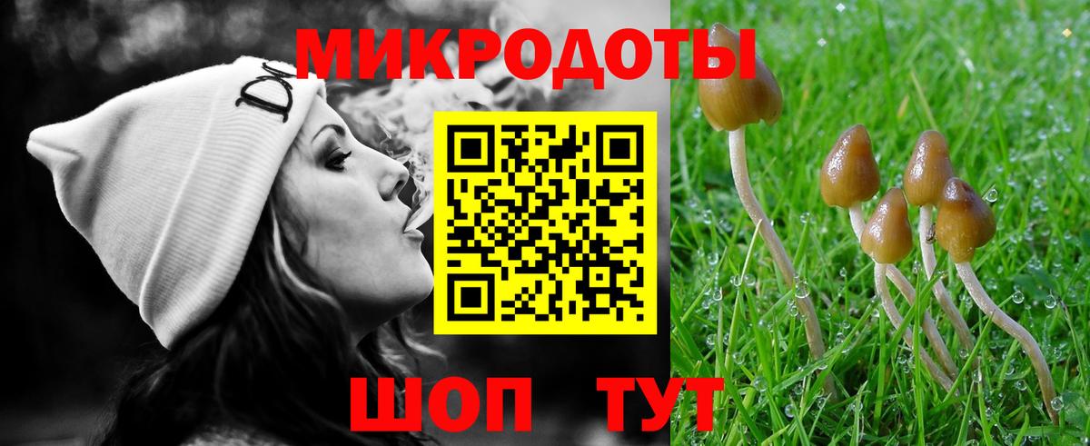 Галлюциногенные грибы Cubensis Брянск